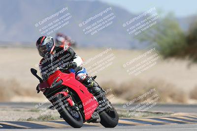 media/Oct-13-2025-Moto Forza (Mon) [[a66d839500]]/3-B Group/Session 4 Turn 4 Tree of Life/